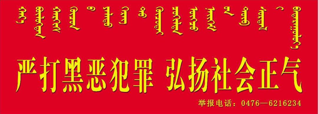 动态比赛,动态帕拉梅拉