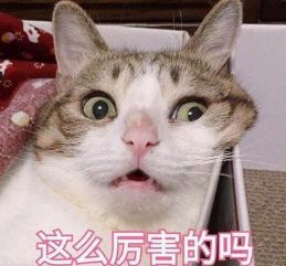 「妹眼看球」杨旭受伤后短暂失忆网友很皮要球衣要球鞋