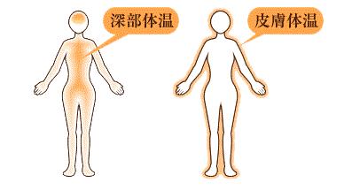 黑科技床,全球顶级黑科技床