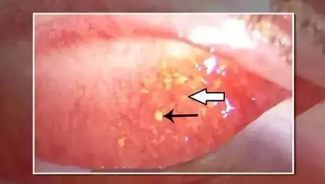 日本制造骗局揭秘,日本造假丑闻都有哪些