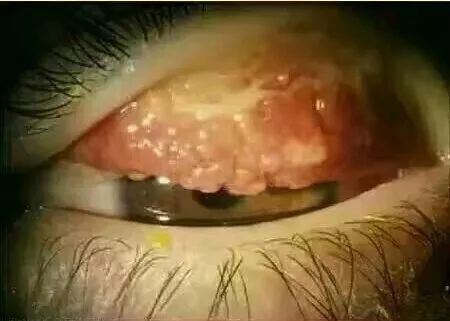 日本制造骗局揭秘,日本造假丑闻都有哪些