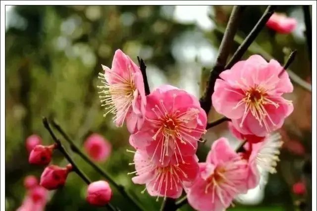 冬夜美文欣赏,精彩美文阅读