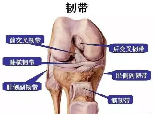 跳太高落地韧带损伤,一跳腹部拉伤
