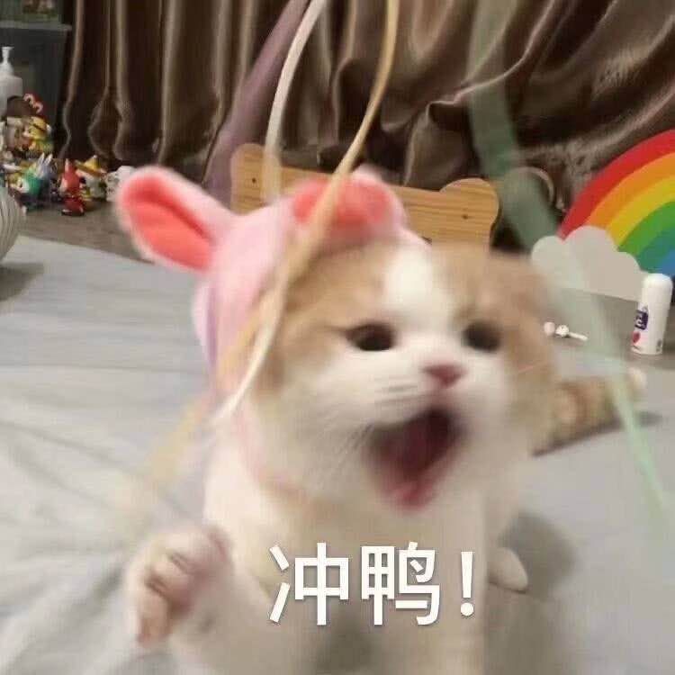 倪妮同款英伦鞋,倪妮同款鞋推荐