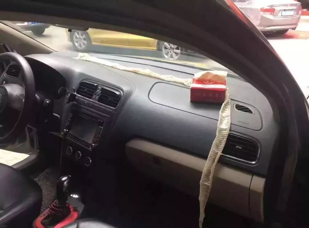 吓人！汽车仪表盘上惊现蛇皮？原来是有条真蛇在“蹭车”
