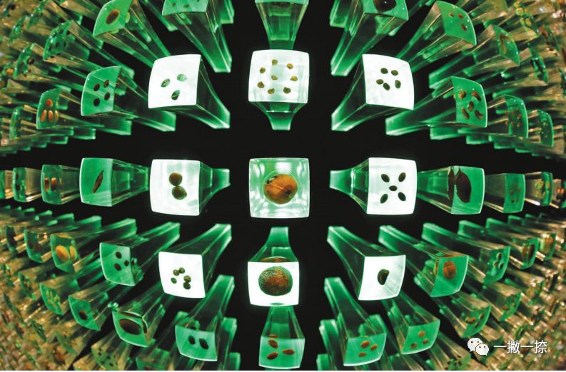 人民日报摄影照片,人民日报照片图