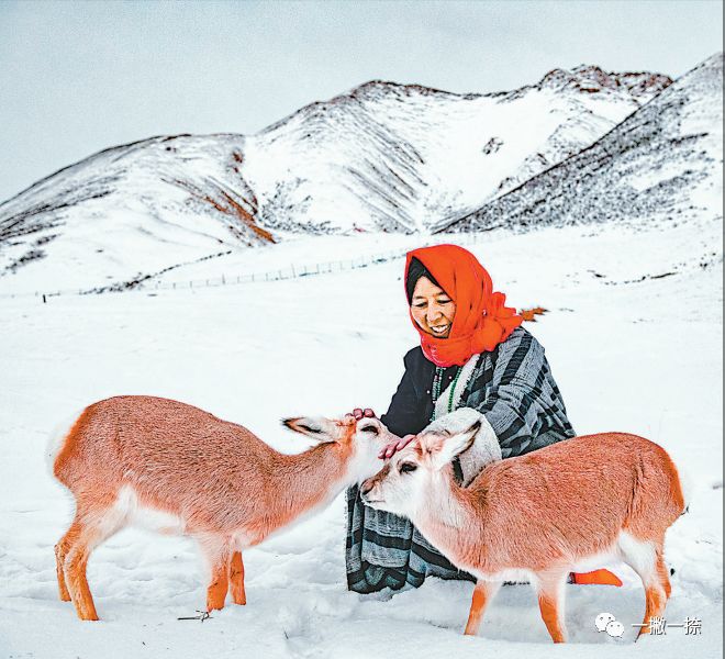 人民日报摄影照片,人民日报照片图