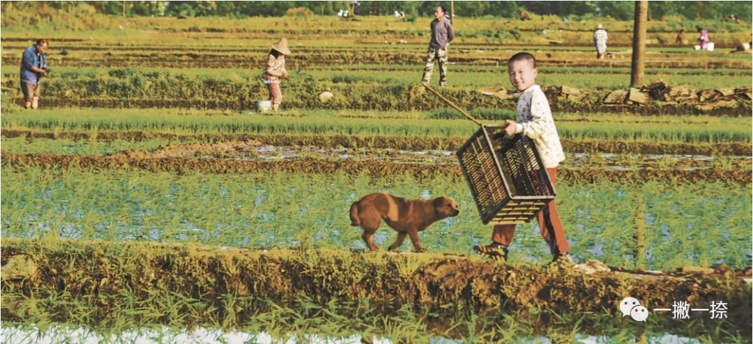 人民日报摄影照片,人民日报照片图