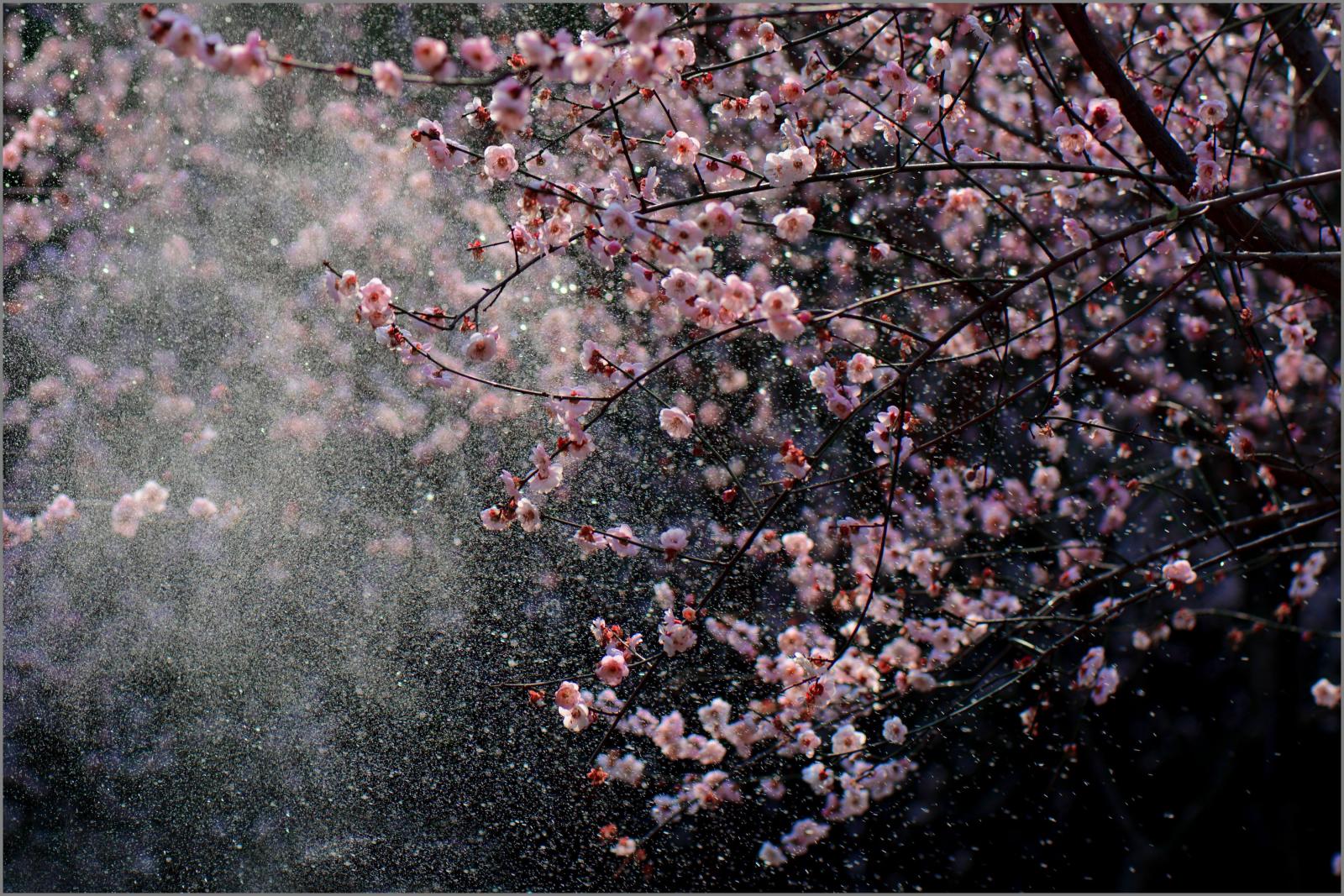 最近很火的梅开二度什么意思,梅开二度意味着什么