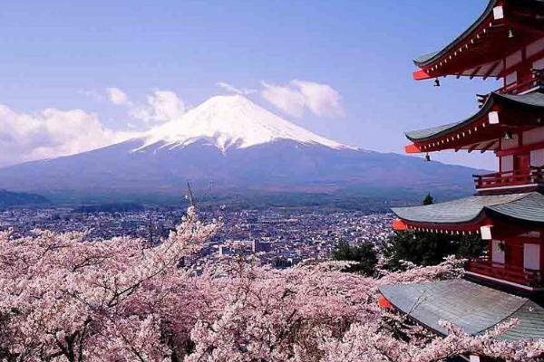 日本语言学校签证容易被拒吗,日本签证被拒原因分析