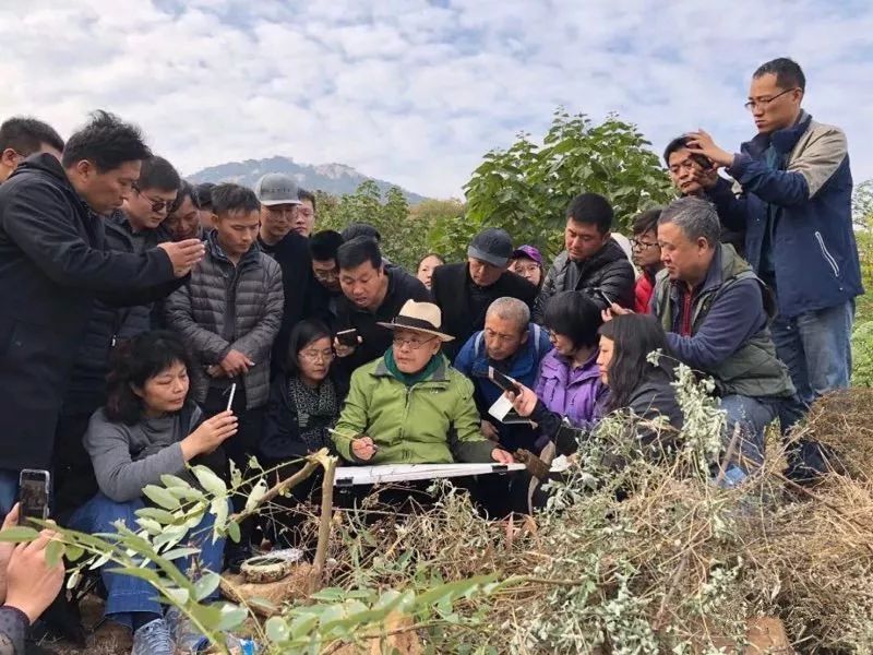 瀹夋嘲鑹烘湳鍩硅瀛︽牎浼樻儬,瀹夋嘲鑹烘湳鍩硅瀛︽牎浼樻儬鍥㈣喘