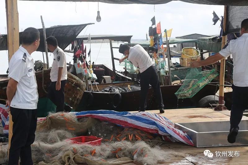 钦州茅尾海还开放吗,钦州茅尾海沙井岛效果图