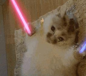 直接砍掉600大洋！让我每天都感叹活着真好的胶囊机！终于打折了