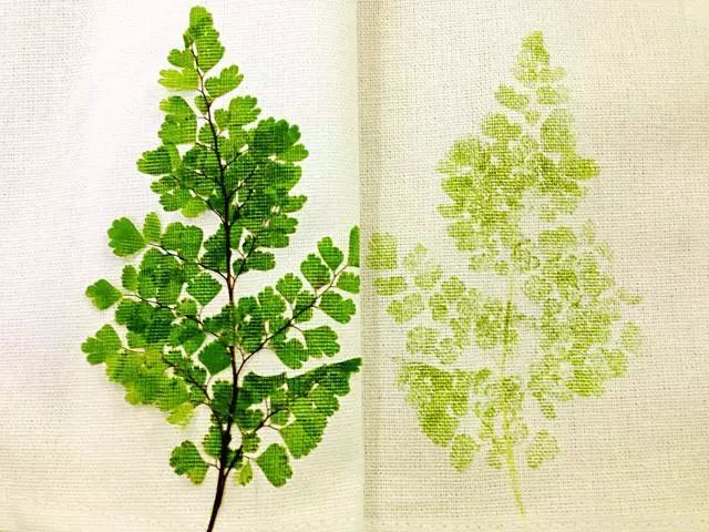 植物染布简单教程,绿色植物扎染怎么做