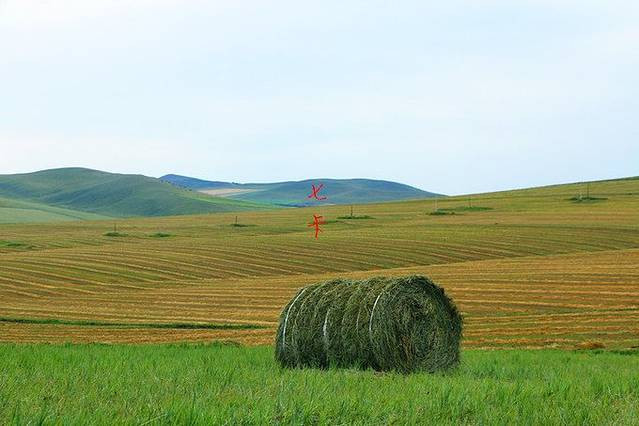 嘉瑞日记之呼伦贝尔——让呼伦贝尔风知道，让呼伦贝尔云知道