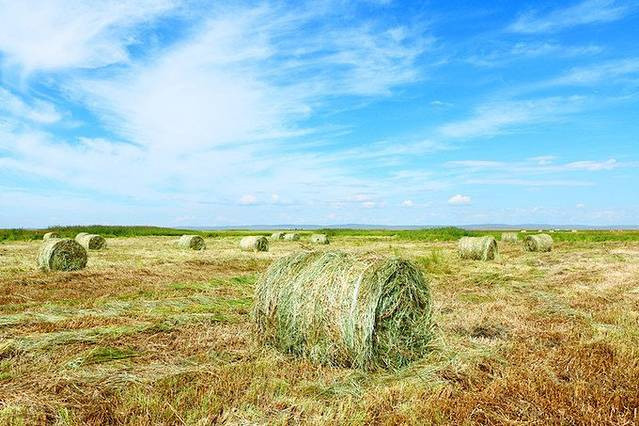 嘉瑞日记之呼伦贝尔——让呼伦贝尔风知道，让呼伦贝尔云知道