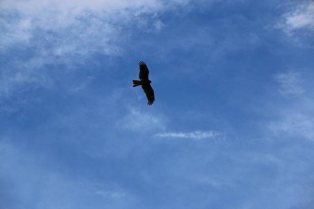 嘉瑞日记之呼伦贝尔——让呼伦贝尔风知道，让呼伦贝尔云知道