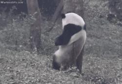 痒痒的透明小水泡是什么,长了很多痒痒的小水泡