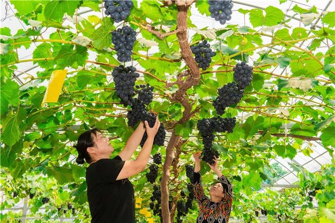 视觉印象张家港,视觉装饰张家港