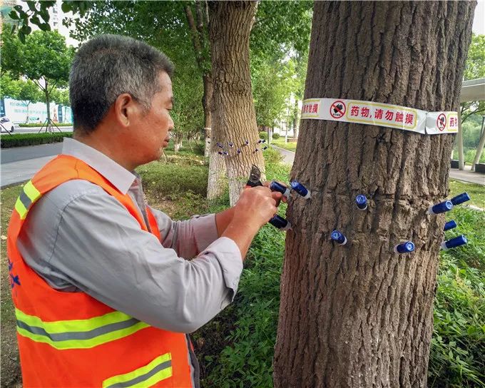 视觉印象张家港,视觉装饰张家港
