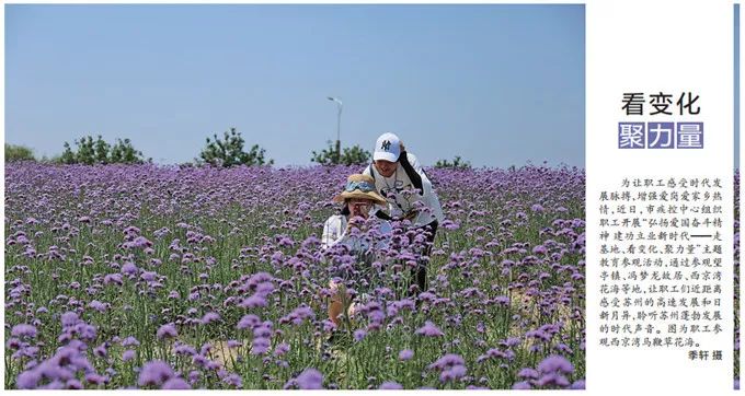 视觉印象张家港,视觉装饰张家港
