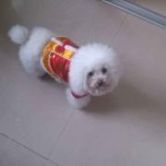 方大炭素最新股吧,大秦铁路股吧