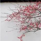 山鹰纸业股吧,山鹰纸业股票股吧评论