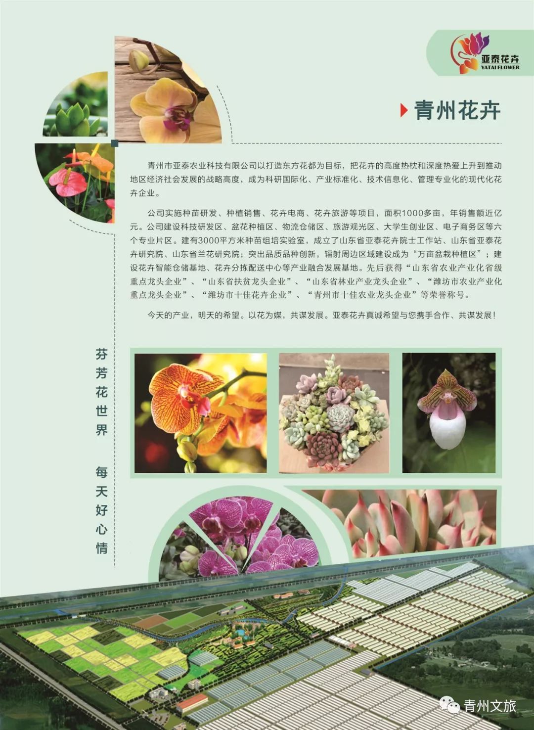 在青州买的特产,青州一日游必买景点