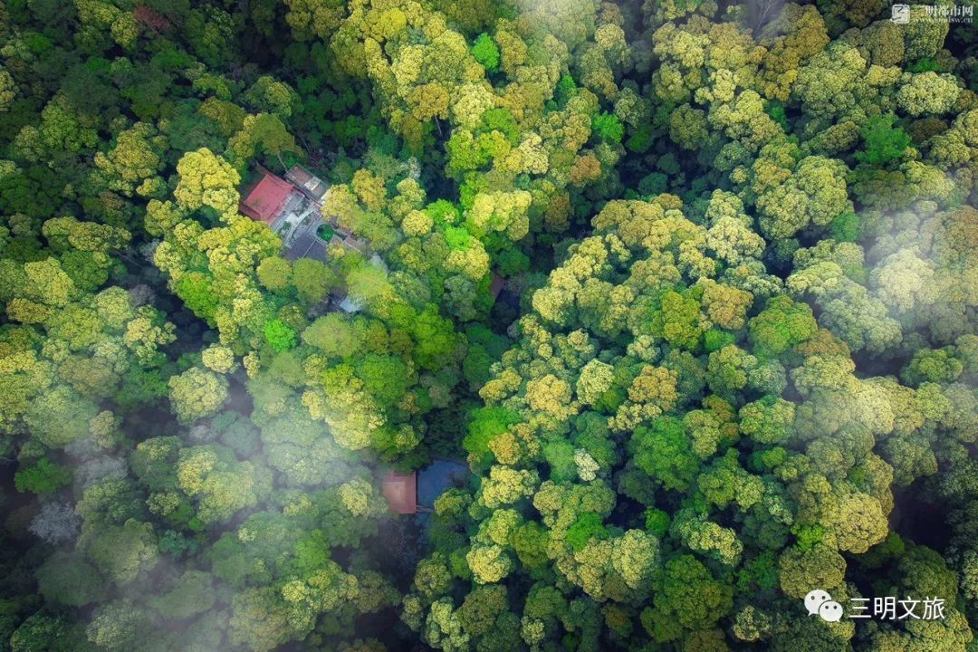 中国绿都最氧三明景点,绿都三明最氧三明