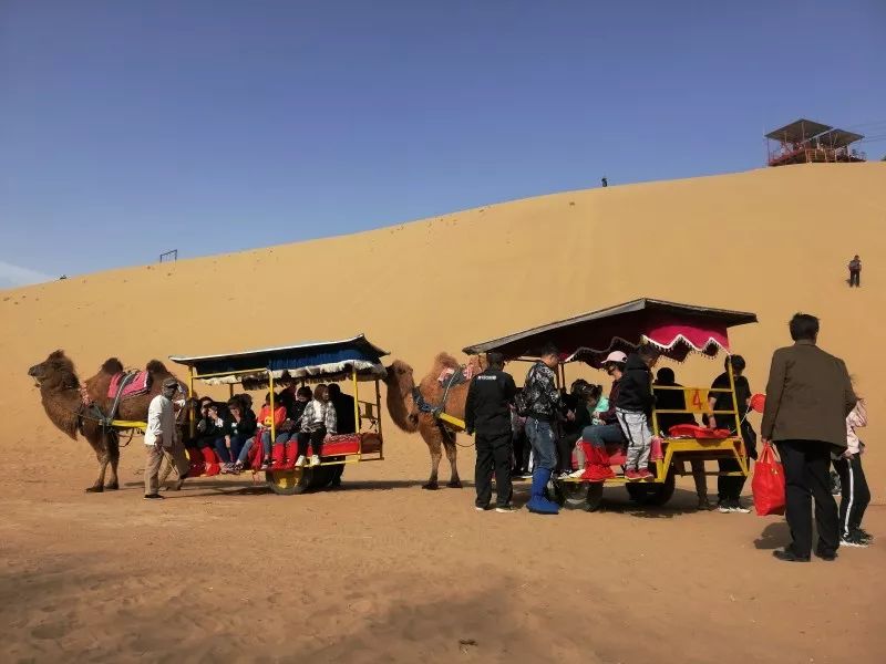 宁夏黄沙古渡景区多条旅游直通车线路让游客便捷出行！