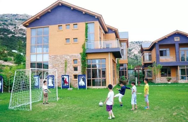 茶园主题民宿,茶园最好的民宿