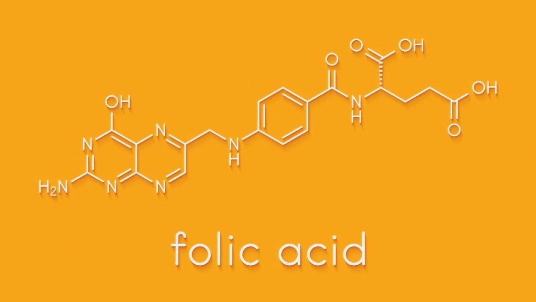 体检血常规血糖血压是哪个项目,体检完主要看哪些指标