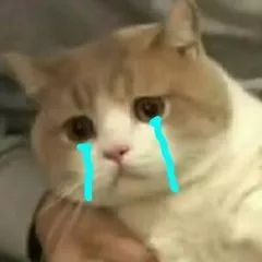 紧急提醒最重要的消息,紧急提醒所有人需要关注什么