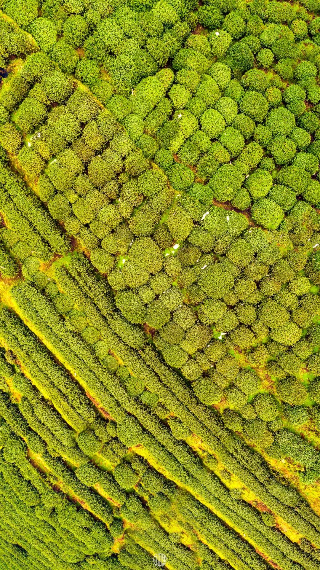 「荐读」朋友圈消失两年，他独自航拍中国，照片惊艳世界