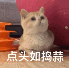 福建人被诈骗的多吗,福建人诈骗犯多不