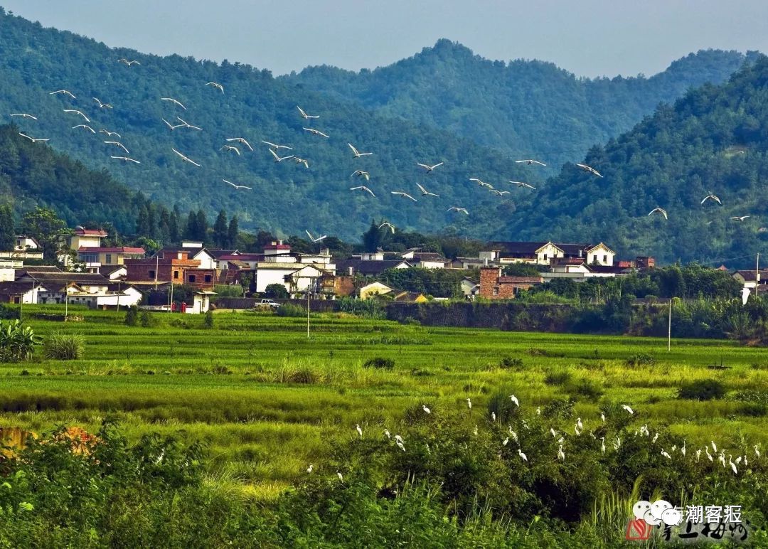 丰顺到福建旅游攻略,梅州一日游最佳去处丰顺