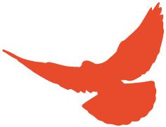 中国航天科工三院最新消息,中国航天科工飞航技术