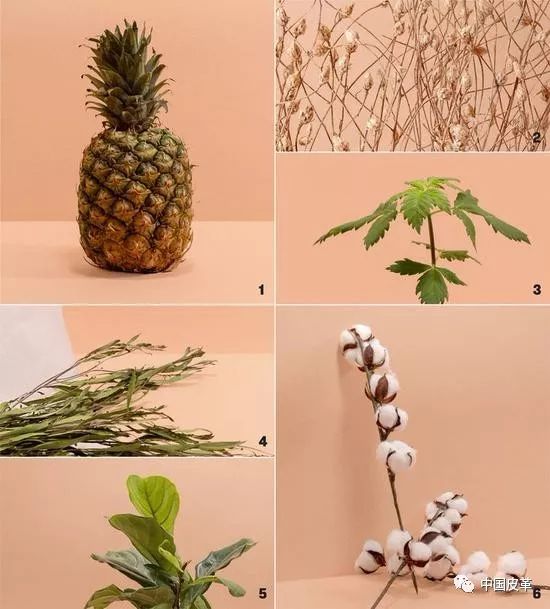 可降解的环保运动鞋,绿色自制运动鞋