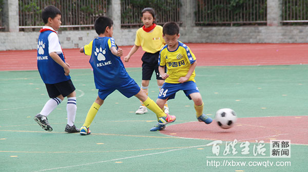 金堂校园足球联赛总决赛,金堂县校园足球联赛