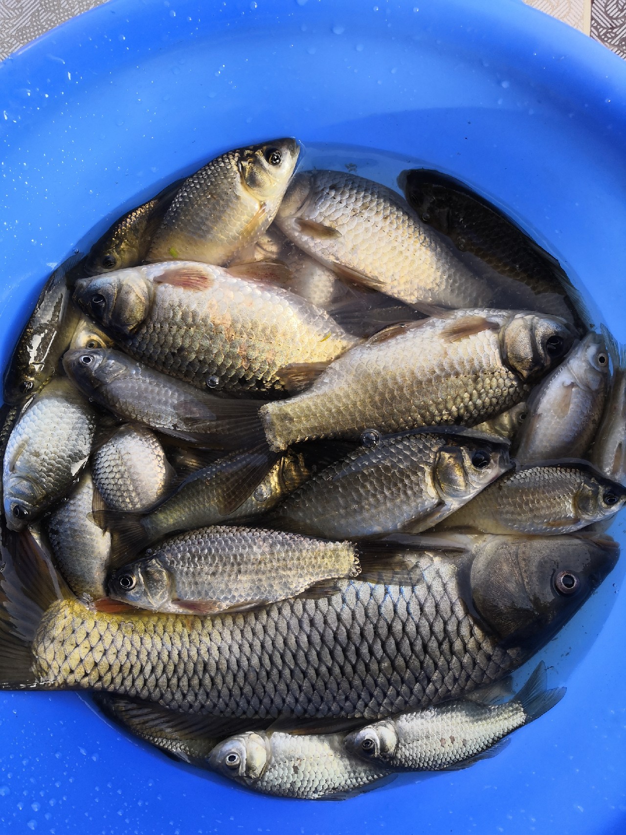 自制七星漂视频教程,自制七星漂调漂