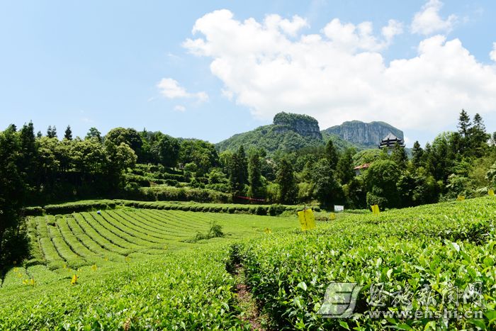 美好生活是奋斗出来的图片,美好生活是奋斗出来的句子