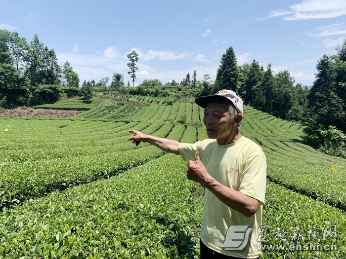 美好生活是奋斗出来的图片,美好生活是奋斗出来的句子