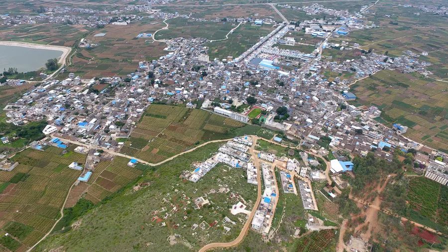 「人文宾川」古院沧桑，古树依然，这里的“花海”盛开在六月——李氏宗祠火把花