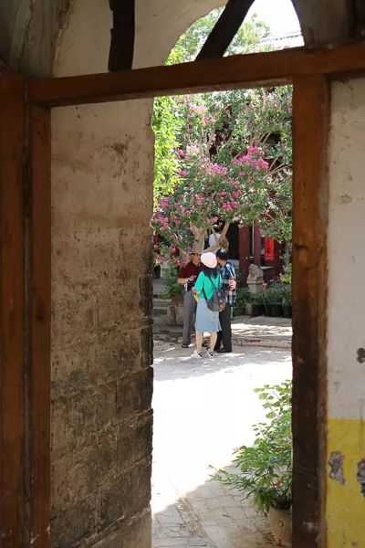 「人文宾川」古院沧桑，古树依然，这里的“花海”盛开在六月——李氏宗祠火把花