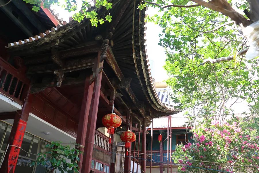 「人文宾川」古院沧桑，古树依然，这里的“花海”盛开在六月——李氏宗祠火把花