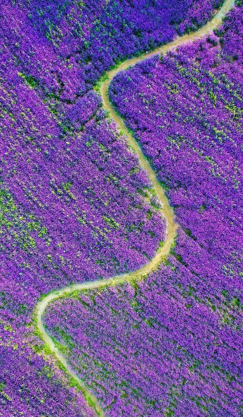 「荐读」朋友圈消失两年，他独自航拍中国，照片惊艳世界