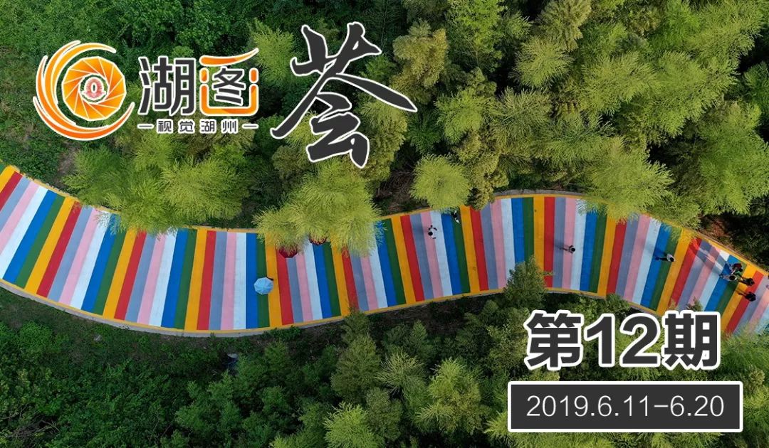 6月光影,六月湖州景色