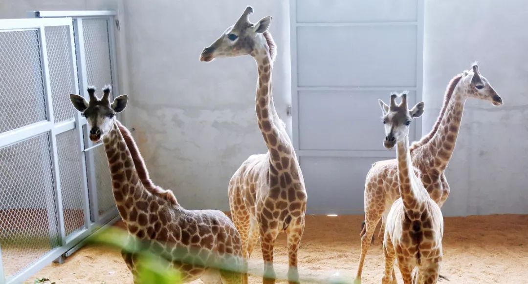 6月光影,六月湖州景色