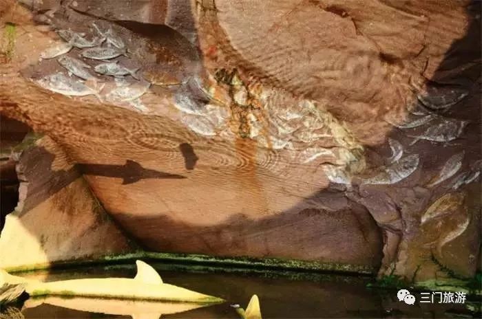 三门旅游攻略,三门适合晚上去玩的地方