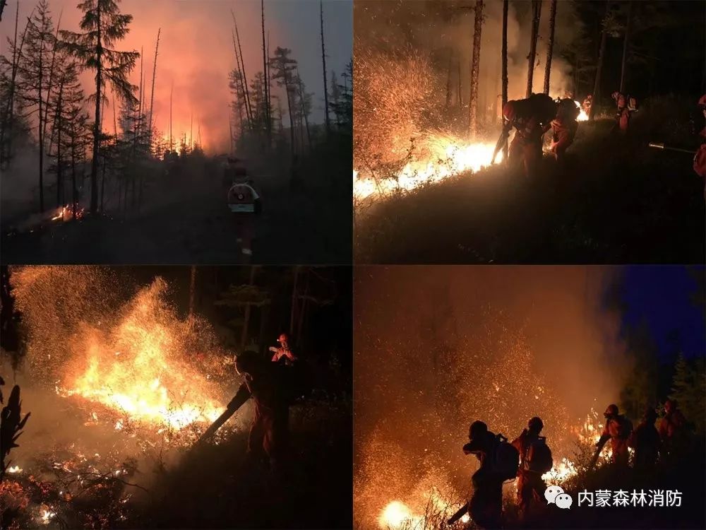 两封家书,两封家书经典对话